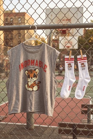 CAMISETA INDOMABLE GRIS 2